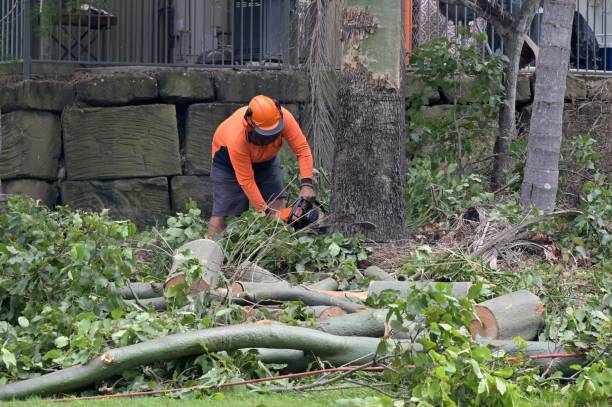  Dothan, AL Tree Service Pros